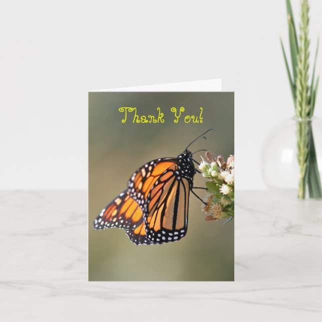 Carte De Remerciements Merci, blanc, papillon de monarque (Devant)