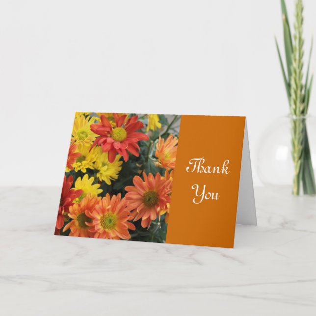Carte De Remerciements Merci, daisy rouge, jaune et orange d'automne (Devant)