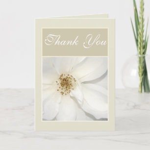 Carte De Remerciements "Merci" fleur beige blanc rose floral