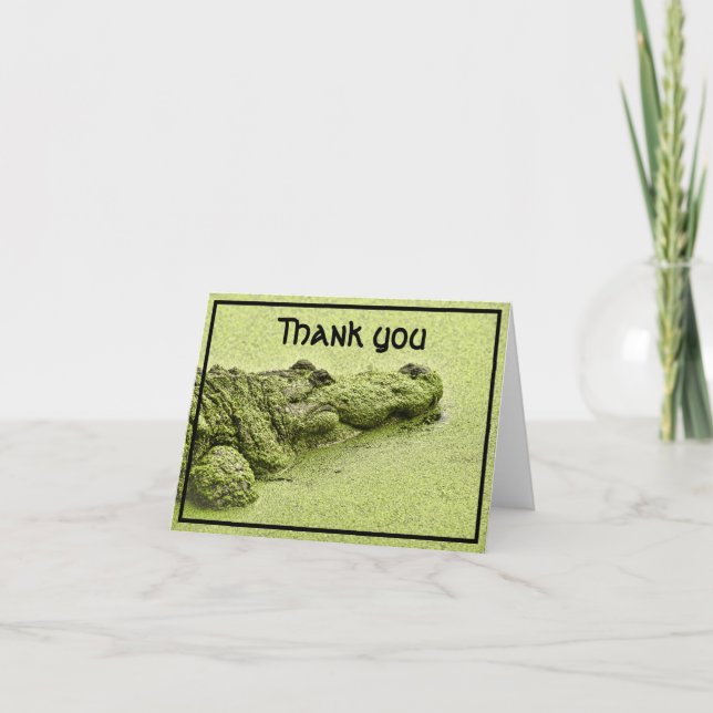 Carte De Remerciements "Merci", Green Gator d'Irlande à Duckweed Photo (Devant)