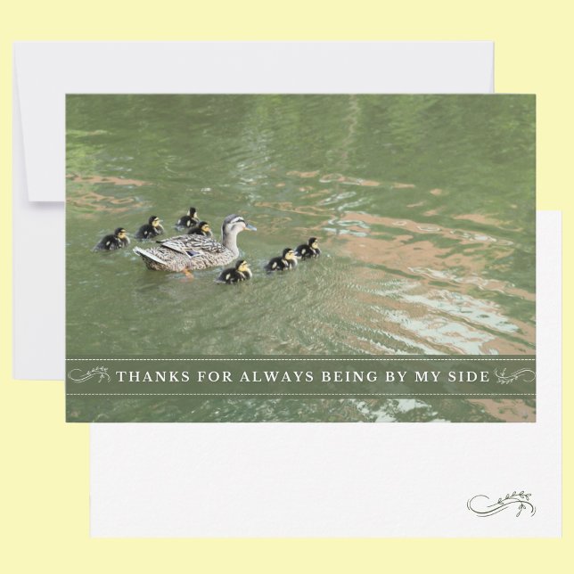 Carte De Remerciements Mère Canard et canettes par mon côté plat (A nature flat thank you card featuring a mother duck and her ducklings.)