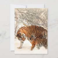 Mignonne mère tigre avec un bébé en neige