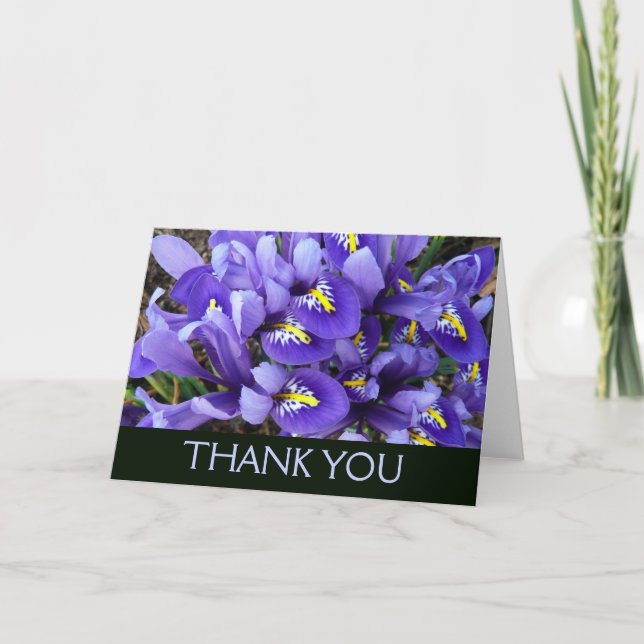 Carte De Remerciements Miniatures Iris Bleus Floral de Printemps (Devant)
