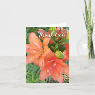 Carte De Remerciements Minuscule Double Vous Asiatique Lily Orange Flower