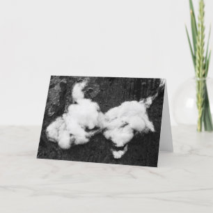 carte de remerciements moelleux