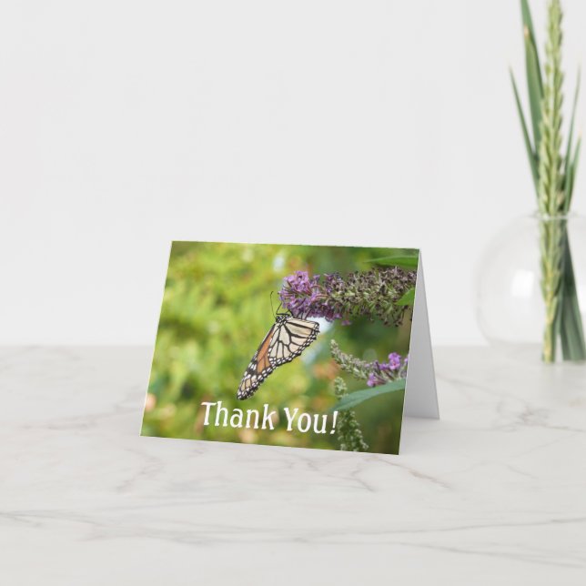 Carte De Remerciements Monarque sur Buddleia (Devant)