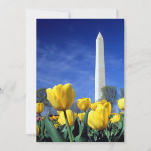 Carte De Remerciements Monuments   Washington Monument au printemps