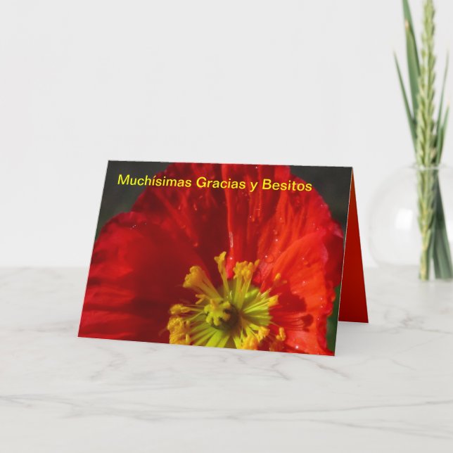 Carte De Remerciements Muchísimas Gracias y Besitos (Devant)