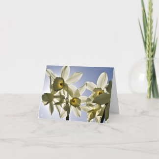 Carte De Remerciements Narcisses qui fleurissent avec un ciel bleu printa