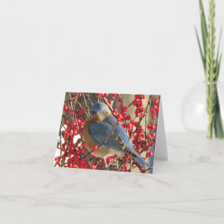 Carte De Remerciements Nature Red Berries and Blue Songbird