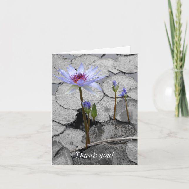 Carte De Remerciements Nénuphar Standing Beauty (Devant)
