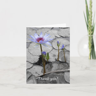 Carte De Remerciements Nénuphar Standing Beauty