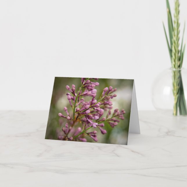 Carte De Remerciements New Mexico Garden (Devant)