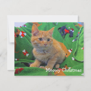Carte De Remerciements Noël de Meowy