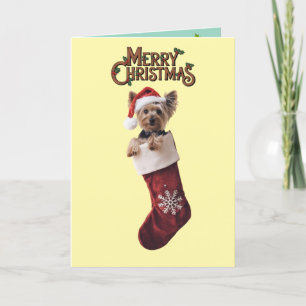 Carte De Remerciements Noël Yorkie