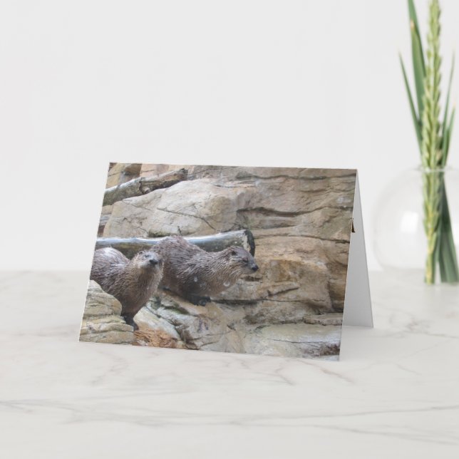 carte de remerciements "North American River Otter (Devant)