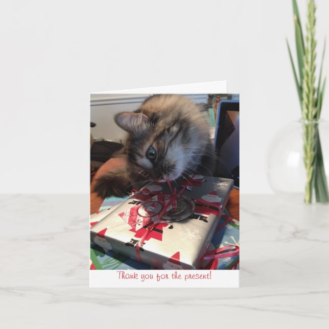 Carte De Remerciements note de remerciement de kitten (Devant)