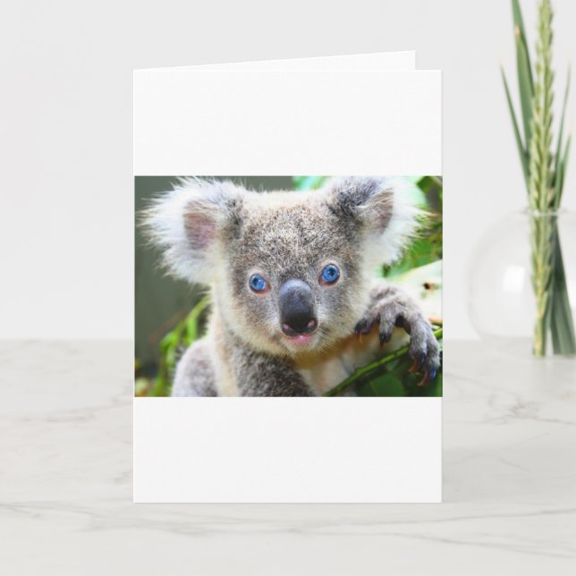 Carte De Remerciements Nounours Koala (Devant)
