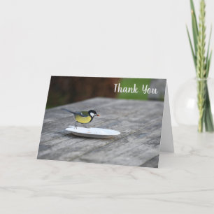 Carte De Remerciements Nourriture d'oiseaux bleus Tit