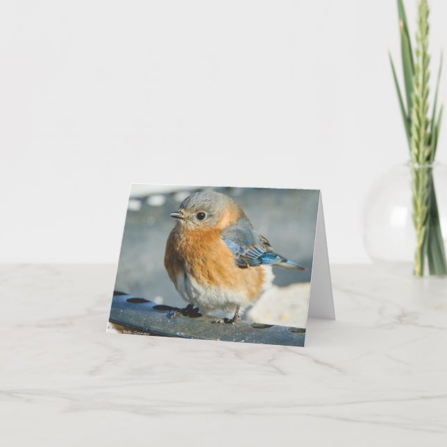 Carte De Remerciements Oiseau bleu de bonheur (Devant)