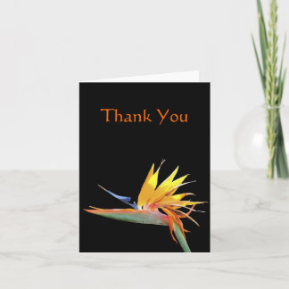 Carte De Remerciements Oiseau de Paradis Note de Remerciement