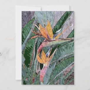 Carte De Remerciements Oiseau du Paradis