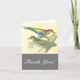 Carte De Remerciements Oiseaux sur Branches, Style Vintage, "Merci !"