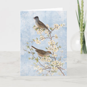 Carte De Remerciements Oiseaux vintages sur la branche de floraison Blue