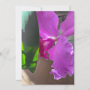 Carte De Remerciements Orchidée