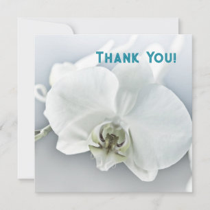 Carte De Remerciements Orchidée blanche Phalaenopsis