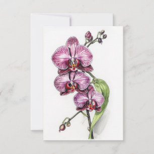 Carte De Remerciements Orchidées violettes Vide minimaliste