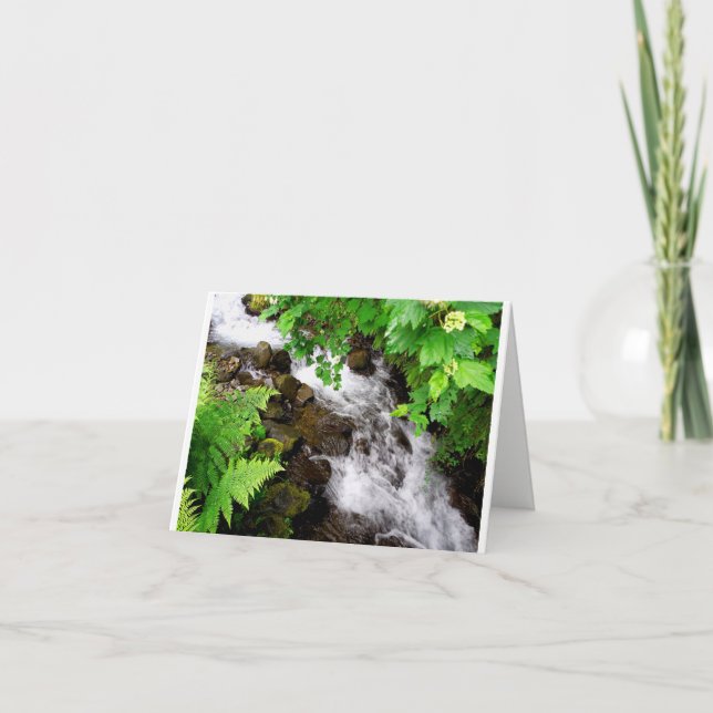 Carte De Remerciements Oregon Creek (Devant)