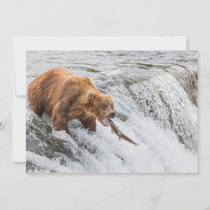 Carte De Remerciements Ours brun attrape un saumon rouge