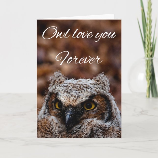 Carte De Remerciements Owl t'aime pour toujours (Devant)