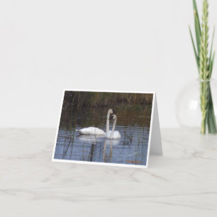 Carte De Remerciements Paire de cygnes ~ Oiseaux d'une plume