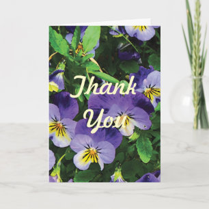 Carte De Remerciements Pansies