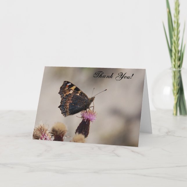Carte de remerciements papillon (Devant)