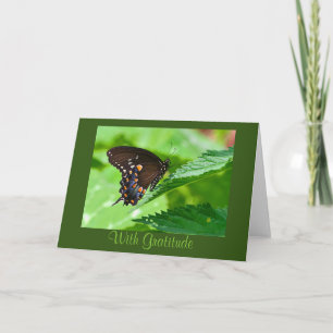 Carte de remerciements papillon