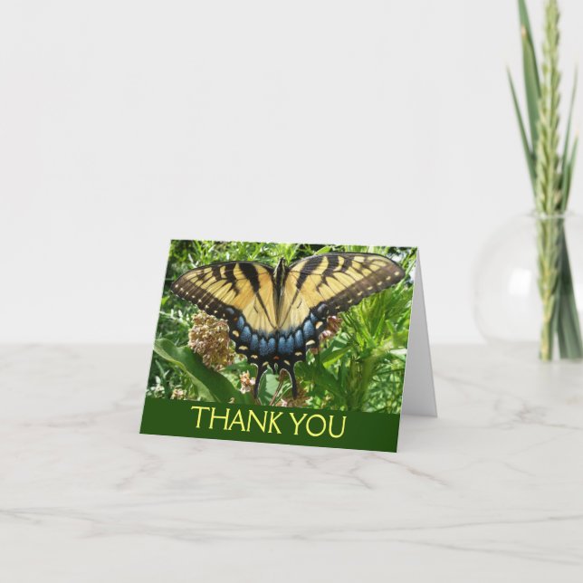 Carte De Remerciements Papillon à queue d'aronde II à Shenandoah (Devant)