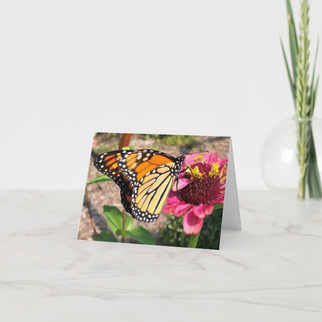 Carte De Remerciements Papillon Dans Le Jardin (Devant)