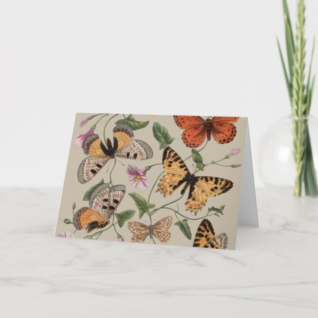 Carte De Remerciements Papillon Moth Nature Collection Dessin (Devant)