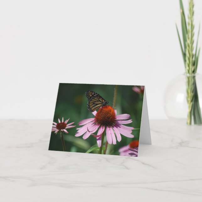 Carte De Remerciements Papillon sur la fleur de cône pourpre (Devant)