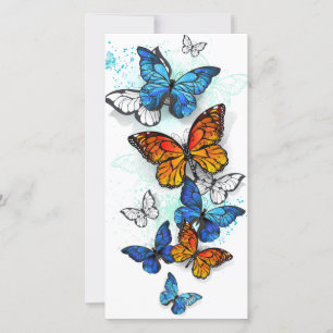 Carte De Remerciements Papillons volants Morpho et Monarch