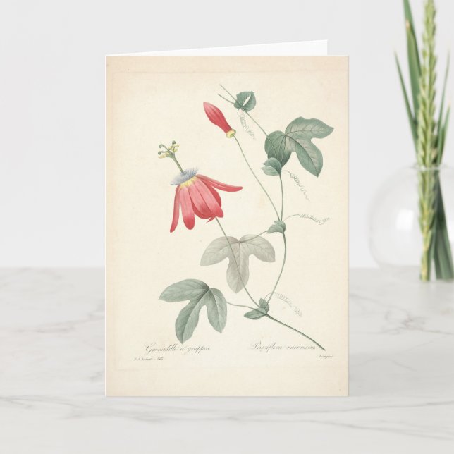 Carte De Remerciements Passiflora par Redoute Botanical Sympathy Card (Devant)
