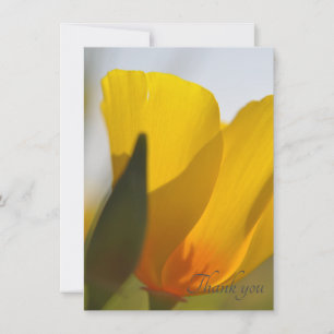 Carte De Remerciements Pavot léger rempli