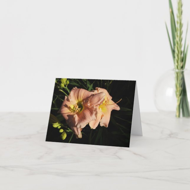 Carte De Remerciements Peach Daylily (Devant)