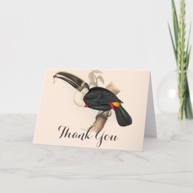 Carte De Remerciements Peinture animalière d'antiquités Toucans (Devant)