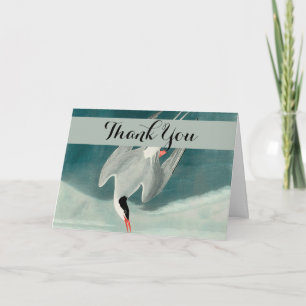 Carte De Remerciements Peinture de faune d'oiseau de sterne arctique Audu