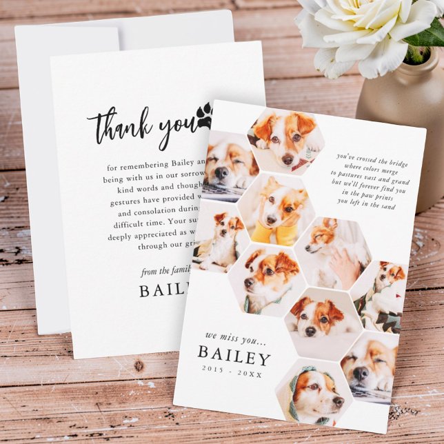 Carte De Remerciements Pet Memorial Modern Simple 10 Photo Collage (Créateur téléchargé)