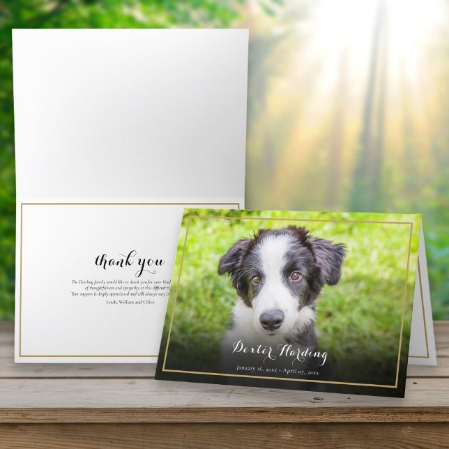 Carte De Remerciements Pet Perdre Sympathie Photo Elegant Gold (Pet Loss Sympathy Photo Elegant Gold Thank You Card)